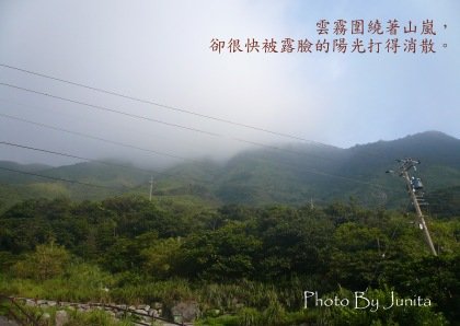 P1060336.jpg