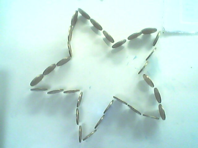 IMG0560A.jpg
