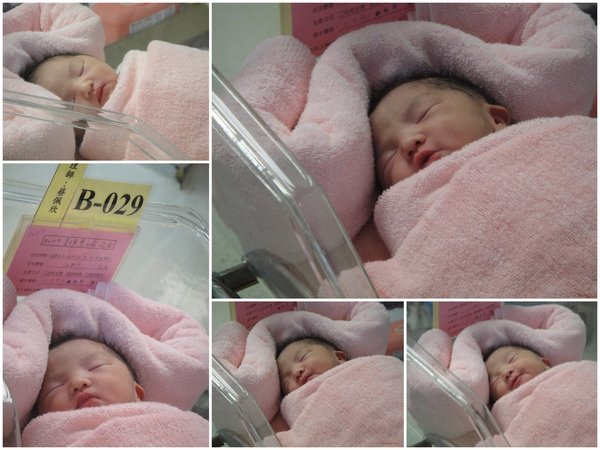 大姐的Baby
