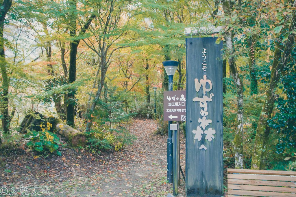 【景點。遊記】高知中藝地區 馬路村 柚子之森加工廠 免費參觀