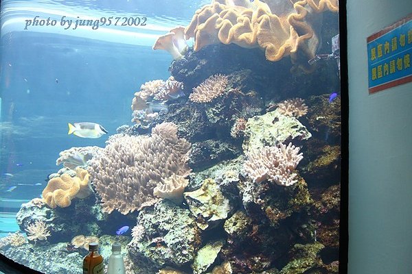 IMG_0111.JPG