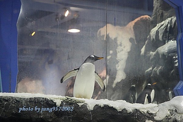 IMG_0586.JPG