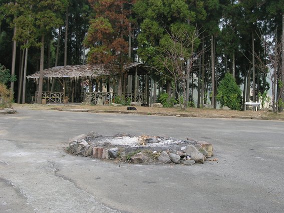 浮雲杉林庭院.jpg