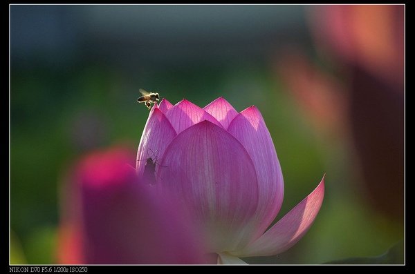 DSC_9473.jpg