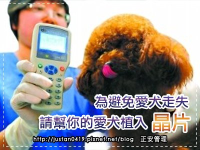 愛犬植入晶片.jpg