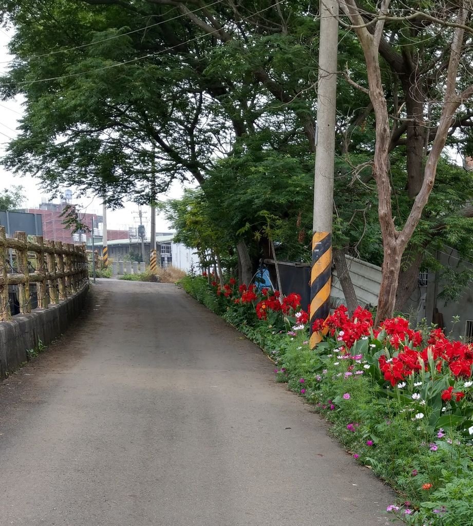 主希望光教會_單車之旅