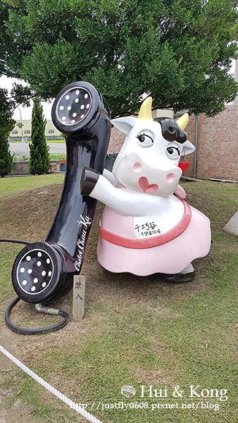 20170524_131924.jpg