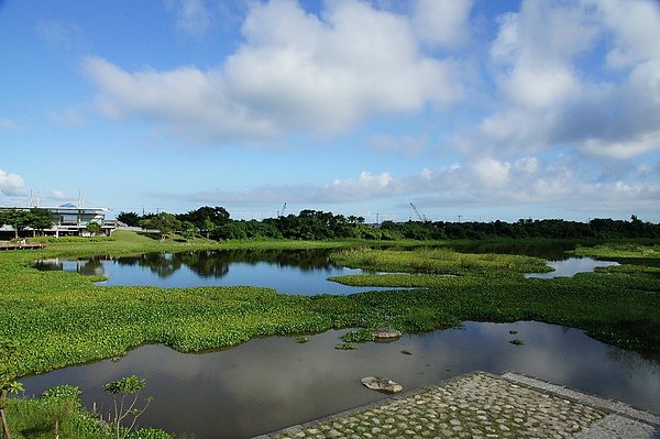 nEO_IMG_DSC03542.jpg