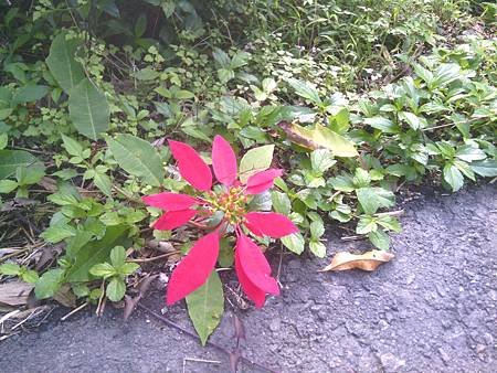 IMG_20141206_142444.jpg