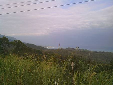 IMG_20141206_142917.jpg