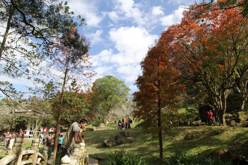 IMG_3156_調整大小.JPG