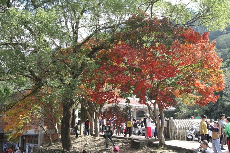 IMG_3118_調整大小.JPG