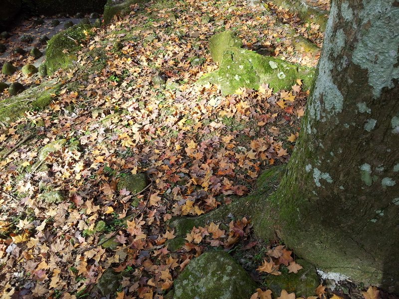 20131208_121656_調整大小.jpg