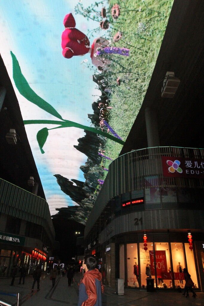 IMG_2365_調整大小.JPG