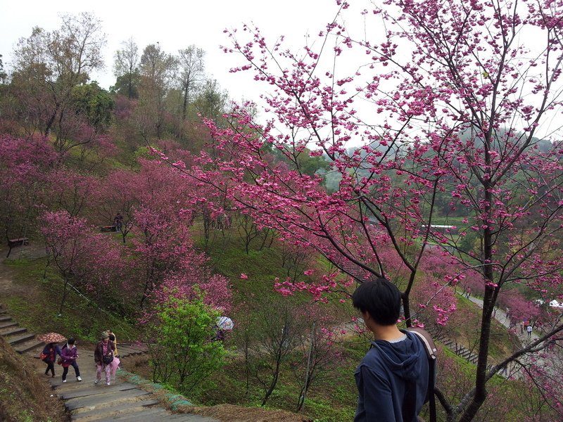 20140209_122241_調整大小.jpg