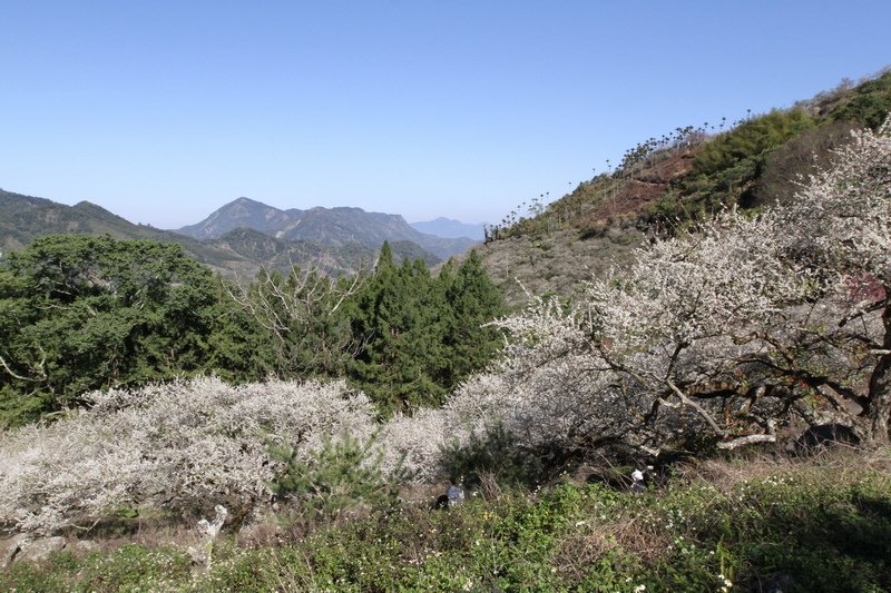 IMG_1676_調整大小.JPG