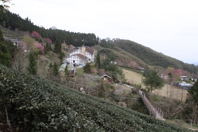IMG_7020_調整大小.JPG