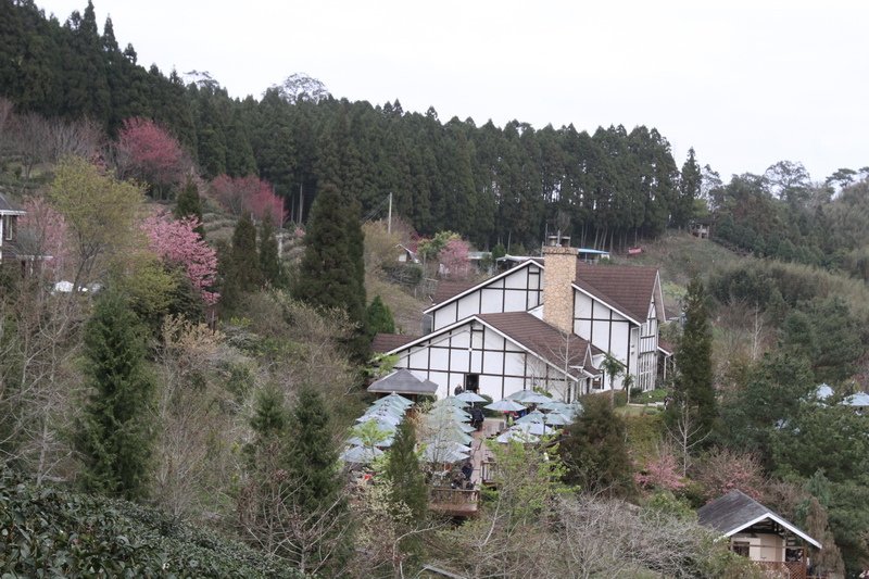 IMG_7019_調整大小.JPG