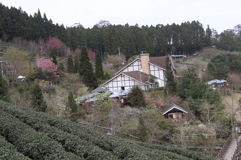 IMG_7012_調整大小.JPG