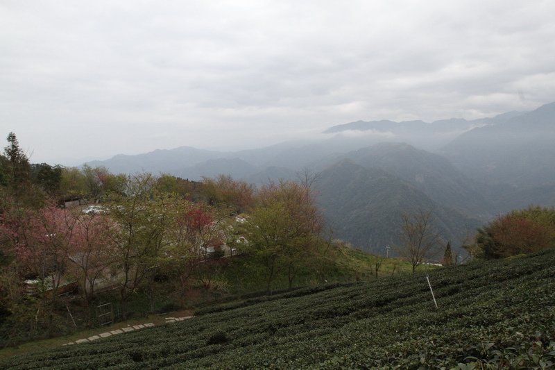 IMG_7009_調整大小.JPG