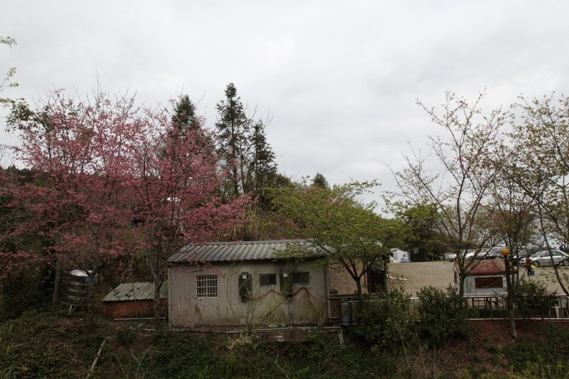 IMG_7003_調整大小.JPG