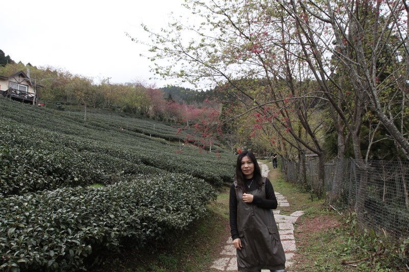 IMG_7004_調整大小.JPG