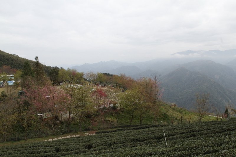 IMG_6985_調整大小.JPG