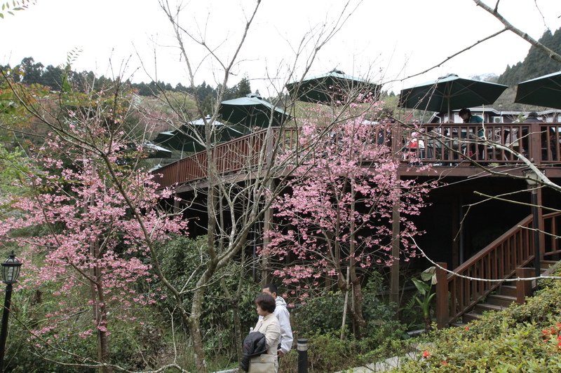 IMG_6964_調整大小.JPG