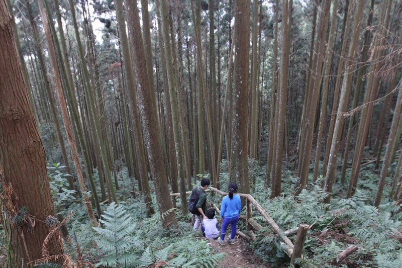 IMG_7663_調整大小.JPG