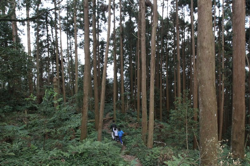 IMG_7658_調整大小.JPG