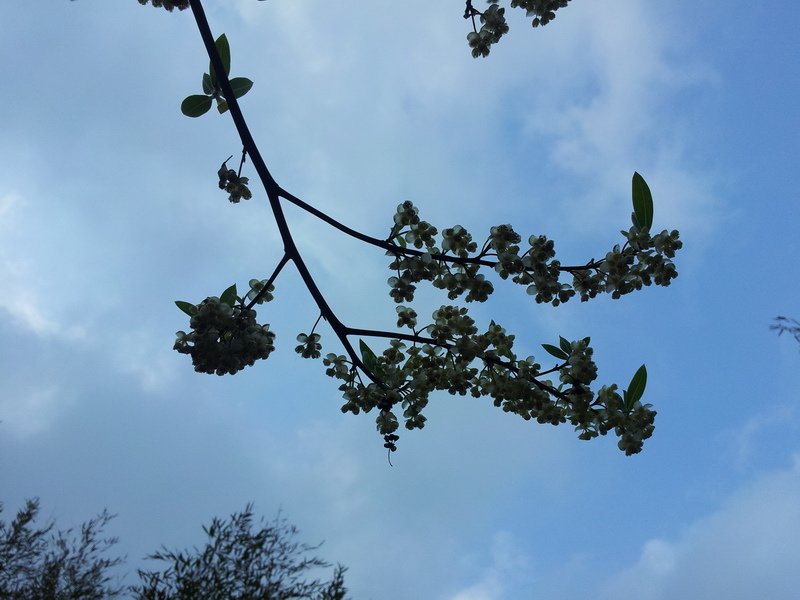 20140301_150525_調整大小.jpg