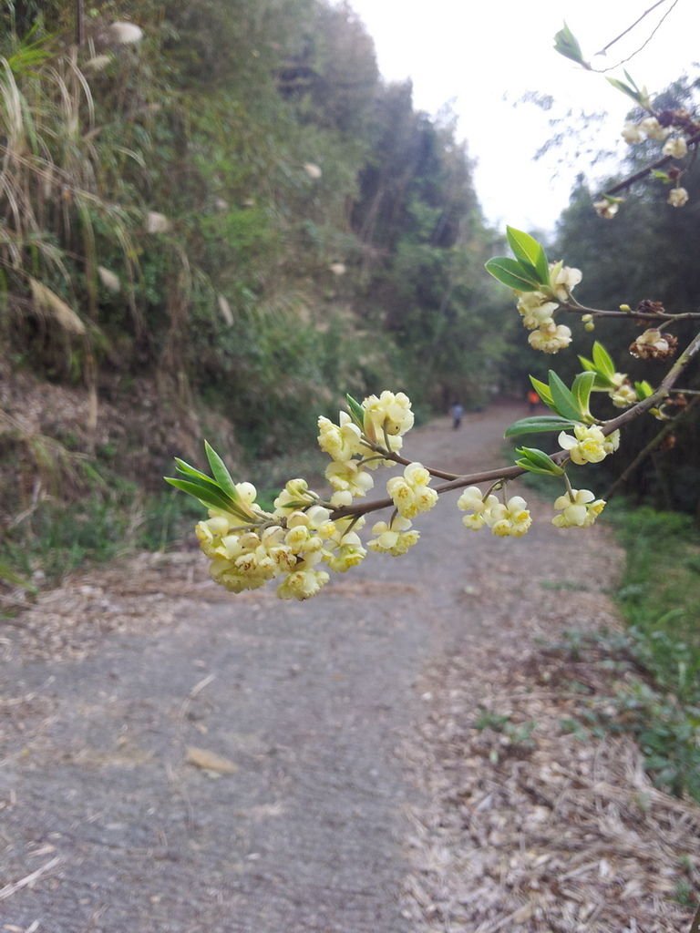 20140301_150747_調整大小.jpg