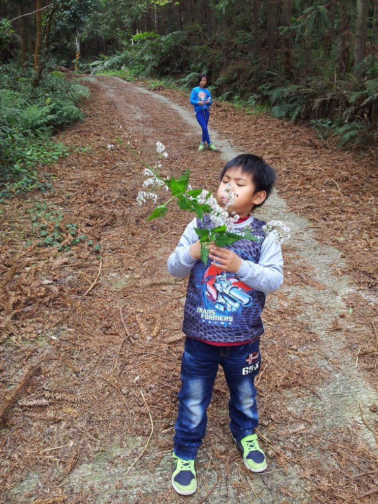 20140301_103420_調整大小.jpg
