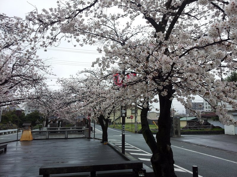 20140404_073511_調整大小