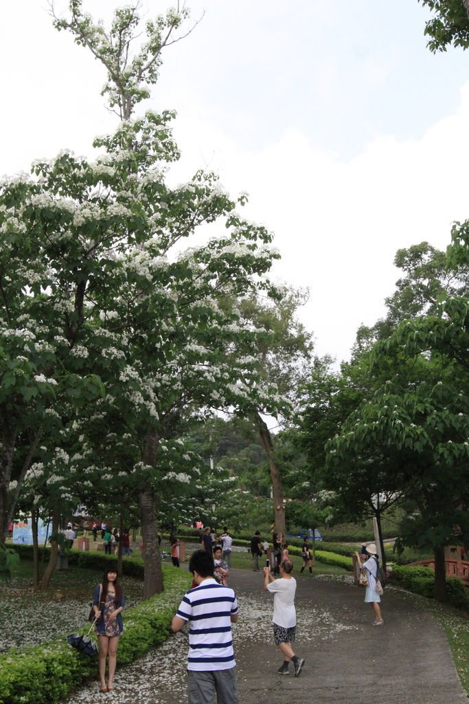 IMG_9351_調整大小.JPG