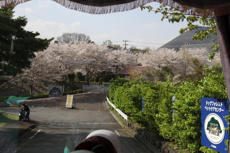 IMG_1824_調整大小.JPG
