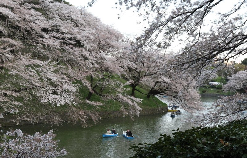 IMG_3008_調整大小.JPG