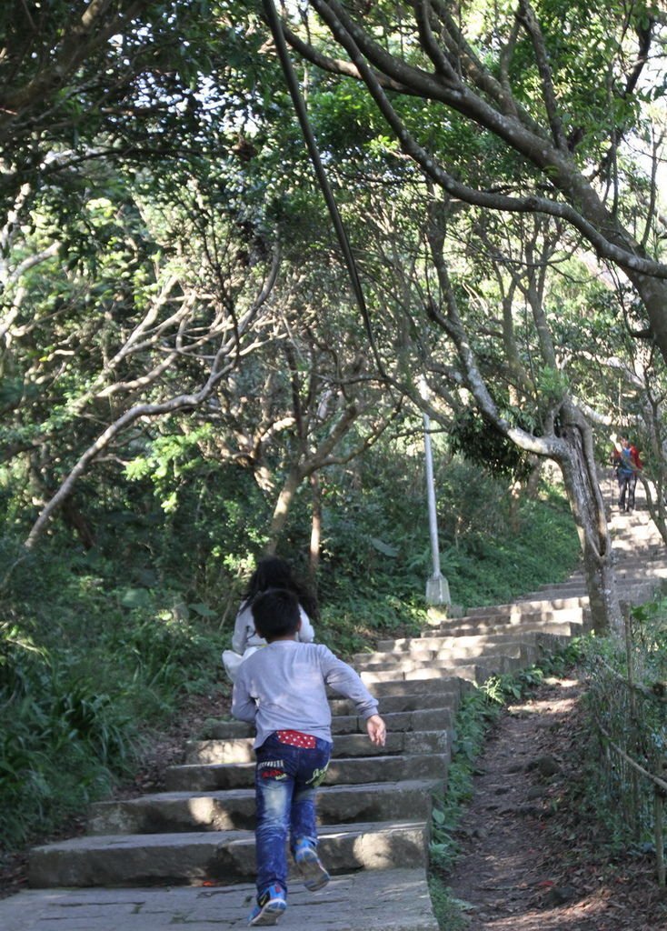 IMG_0011_調整大小.JPG
