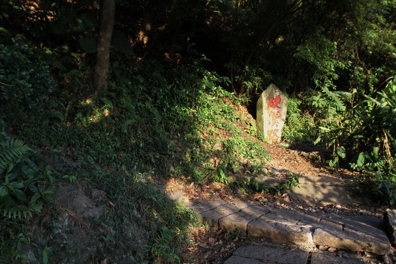 IMG_0185_調整大小.JPG