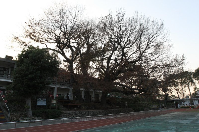 IMG_2790_調整大小.JPG
