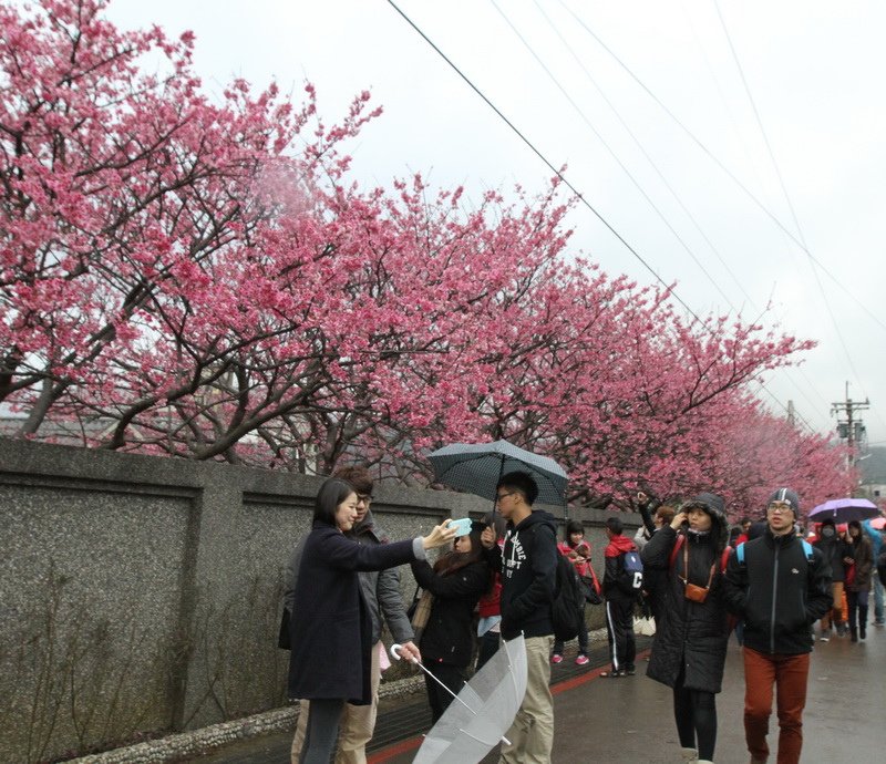 IMG_3649_調整大小.JPG