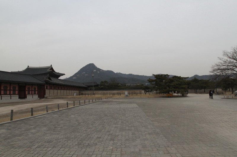 IMG_5460_調整大小.JPG