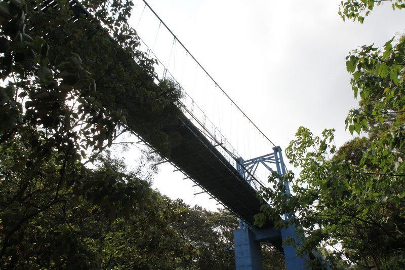 IMG_0166_調整大小.JPG