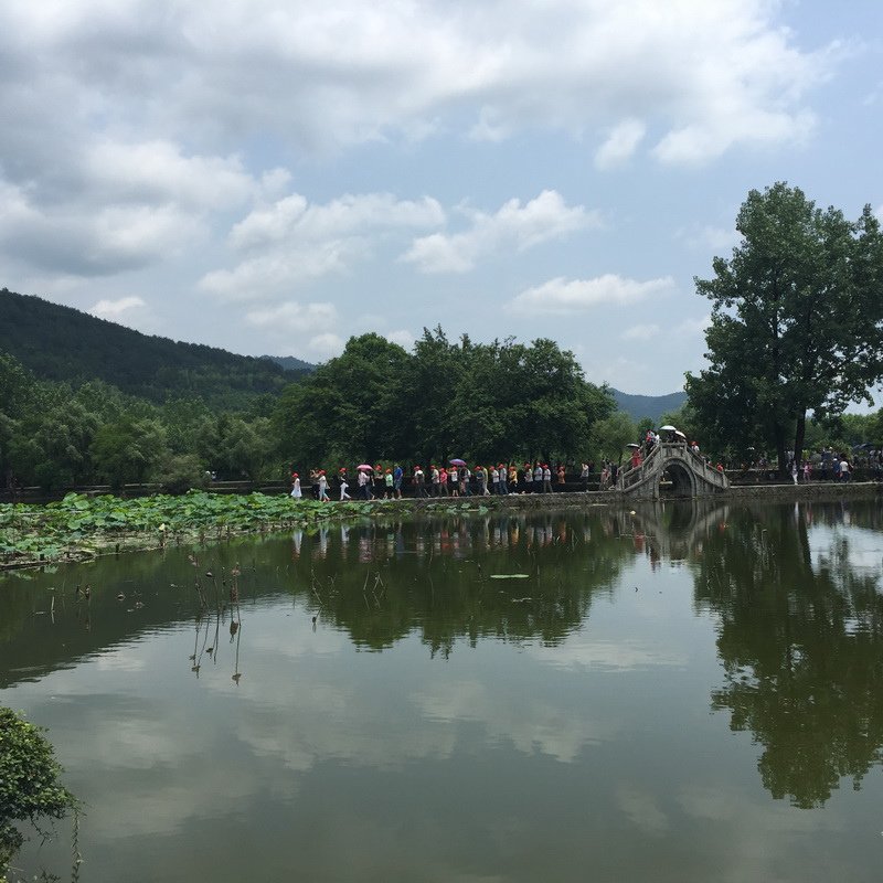 IMG_7980_調整大小.JPG