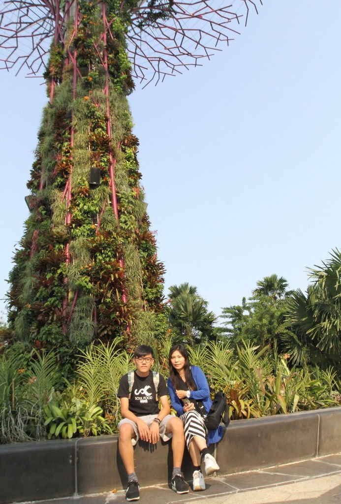 IMG_6582_調整大小.JPG