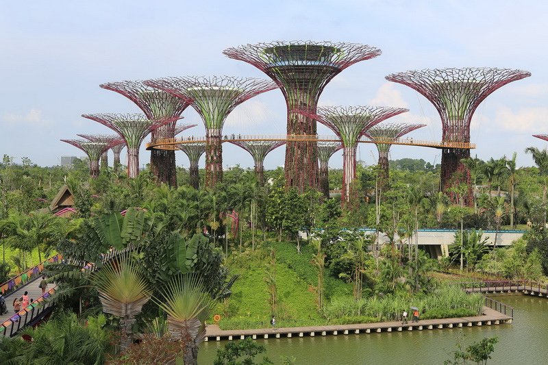 Supertree_Grove,_Gardens_by_the_Bay,_Singapore_-_20120712-02[1]_調整大小.jpg