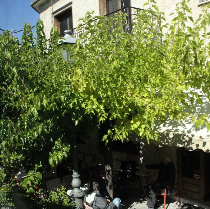 IMG_5458_調整大小.JPG