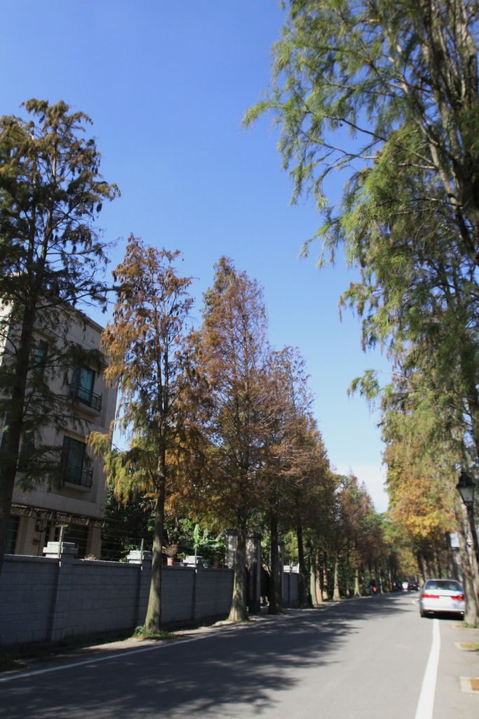 IMG_1950_調整大小.JPG