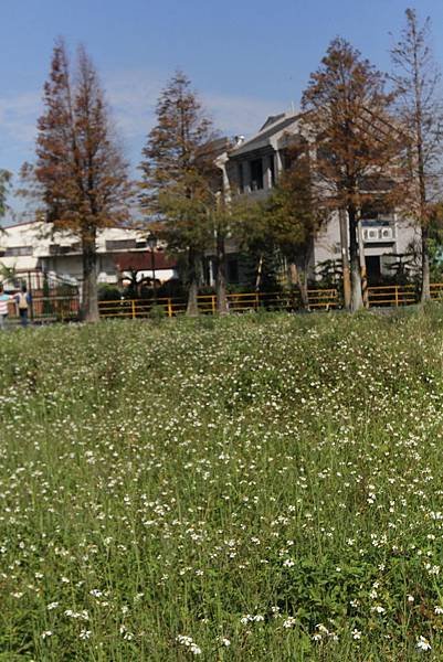 IMG_1981_調整大小.JPG
