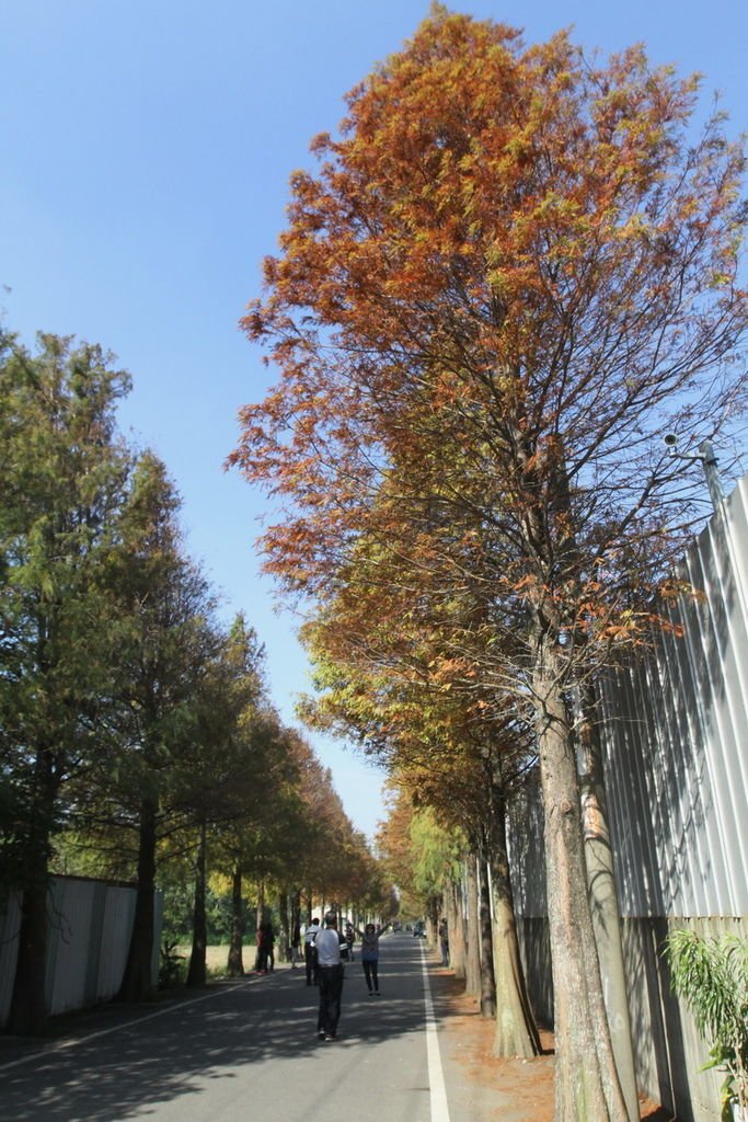 IMG_2052_調整大小.JPG